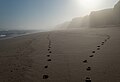 Image 559Footsteps in beach in the early morning, Praia D'El Rey, Amoreira, Portugal