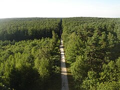Forêt d'Orléans à Nibelle, au centre-nord.