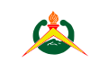 Eerste vlag (1986-1988)