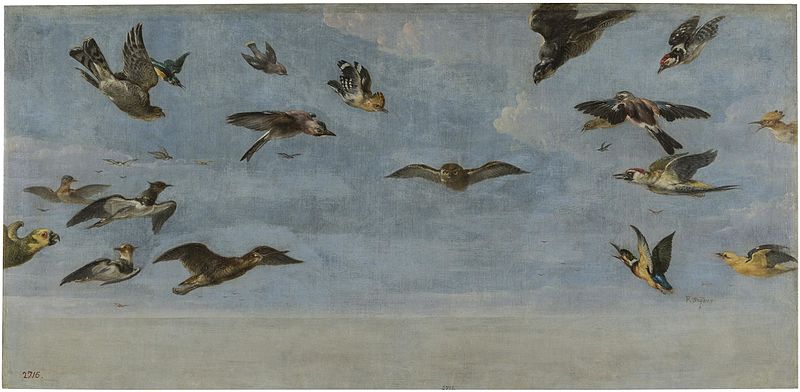 File:Frans Snyders - A little owl and a flock of birds.jpg