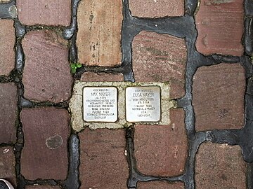 Stolpersteine for Max and Olga Mayer in Heidelberg