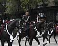Cadetes del Heroico Colegio Militar montando a caballo en un desfile.