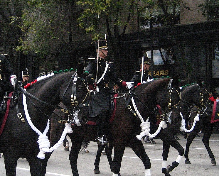 File:Fuerzas Armadas de México 2.jpg