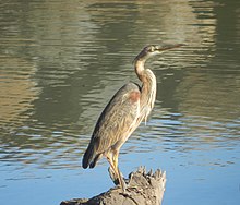 Lagoa do Lugar de Baixo