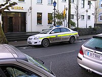 Garda and police car.JPG