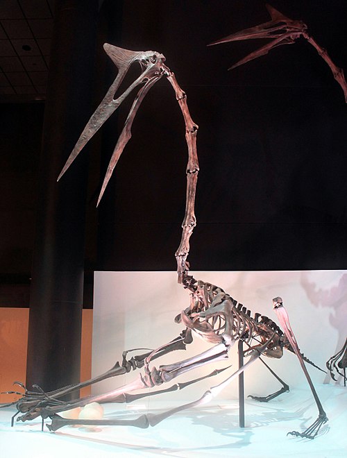 Quetzalcoatlus