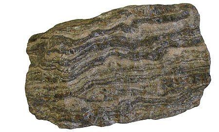 Fail:Gneiss.jpg