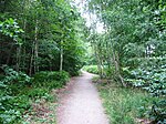 Flounder Trail