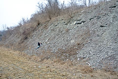 Grant Lake Formation Kentucky.JPG