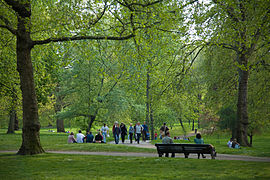 zelený park na jaře