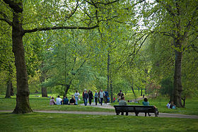 Pogled na park