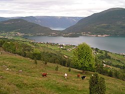 Hafslovatnet with Sognefjord behind