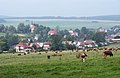 Herálec (okres Žďár nad Sázavou)