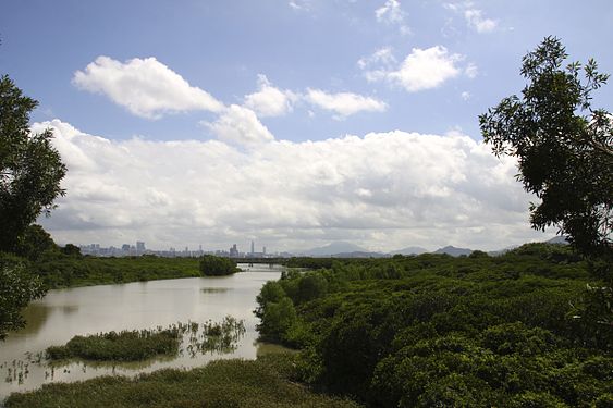 Hong Kong Wetland Park