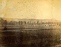 Hop fields, Washington, circa 1889-1891 (BOYD+BRAAS 112).jpg