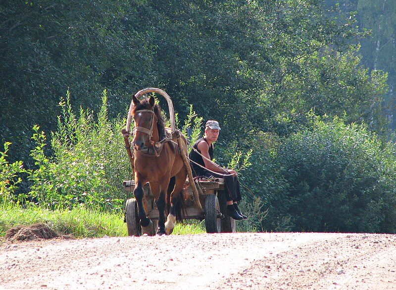 File:Horse-drawn cart in Russia (1).jpg