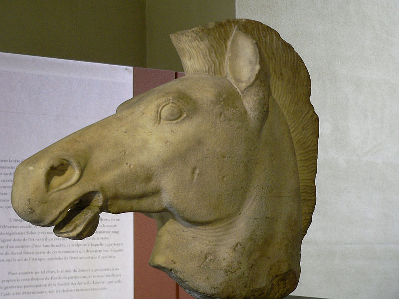 File:Horse head Louvre Ma5143.jpg