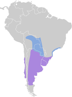 Distribución geográfica de la viudita picoplata.