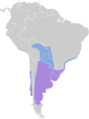 Hymenops perspicillatus map.svg