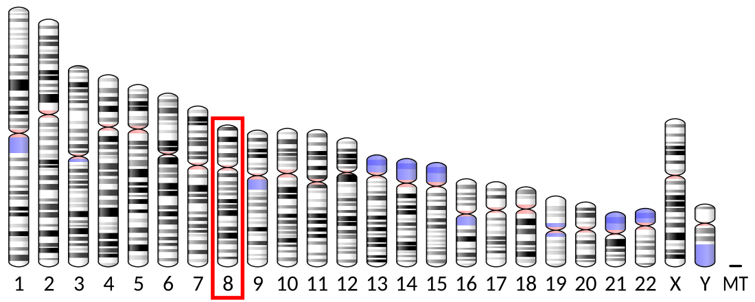 Fibroblast growth factor receptor 1