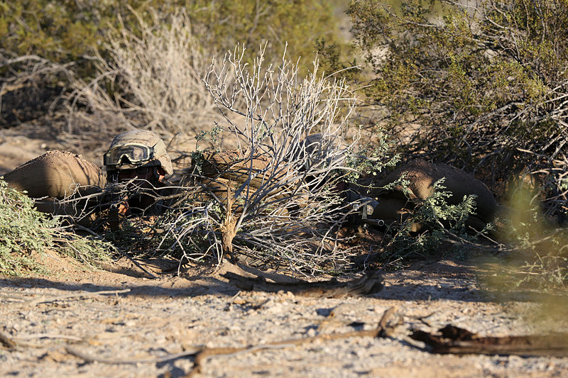 File:Infantrymen practice defensive tactics during Weapons, Tactics Instructor course 131015-M-OM885-308.jpg