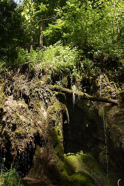 File:Kalktuffbarre Fleinsbrunnenbach Erms-Tributar Schwaebische-Alb.jpg