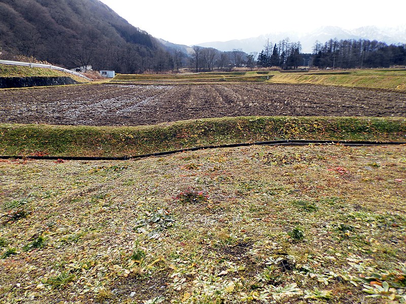 File:Kamishiro fault earthquake 1.jpg