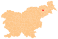 Duplek municipality