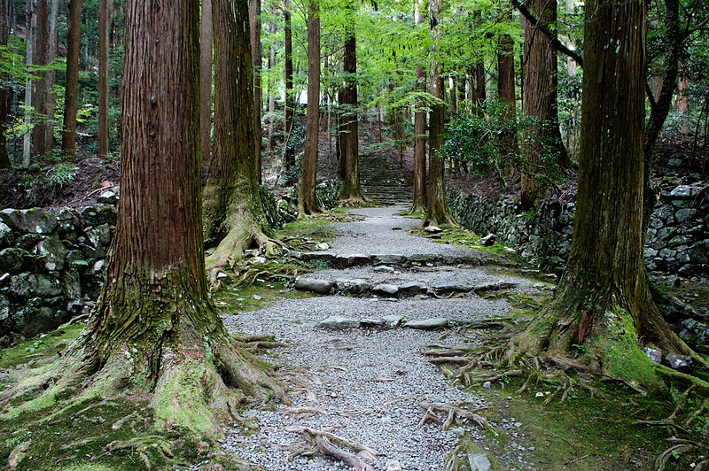 File:Kozanji Kyoto Kyoto07s5s4592.jpg