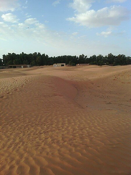 File:Ksar Ghilane, Tunisia, June 2018.jpg