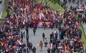Contre-manifestation, en soutien au président bolivien déchu, Evo Morales. Les manifestants brandissent notamment le drapeau autochtone wiphala.