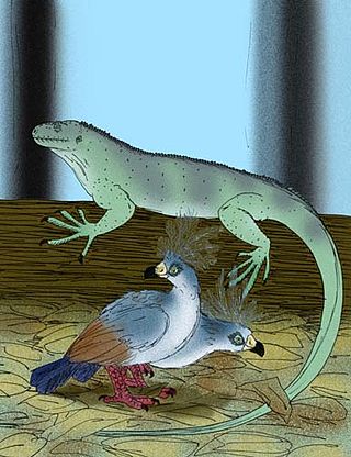 <i>Lapitiguana</i> Extinct genus of lizards