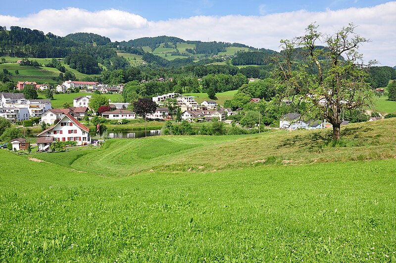 File:Laupen (Wald) 2010-06-23 16-31-00.JPG