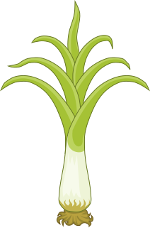 File:Leek Badge of Wales.svg