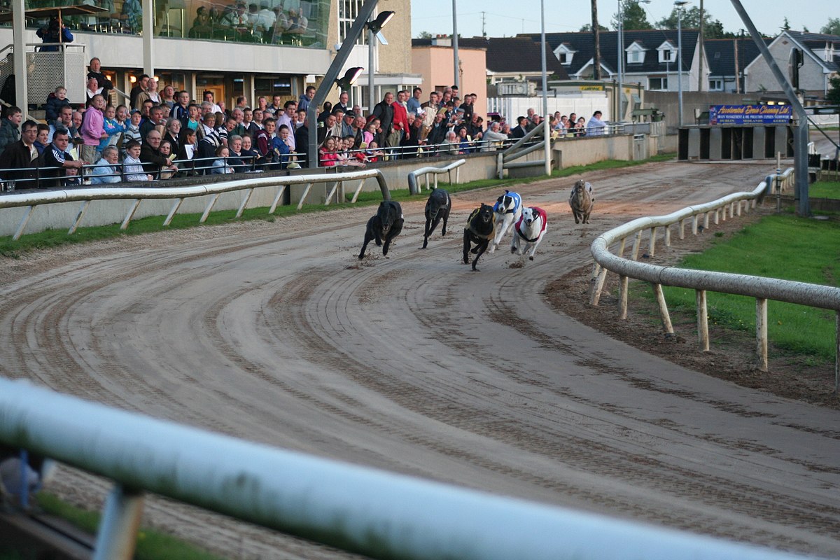 Mullingar Greyhound Stadium