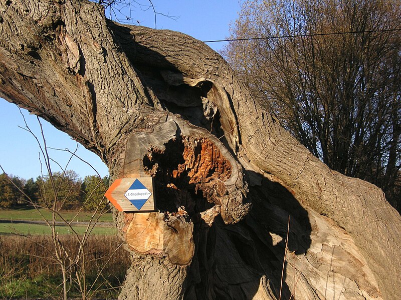 File:Lidingö ek Lidingöloppet 2006.jpg