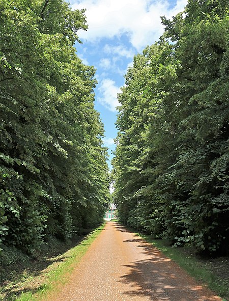 Lindenallee Haus Harkorten