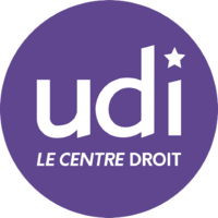 Логотип UDI 2019.png