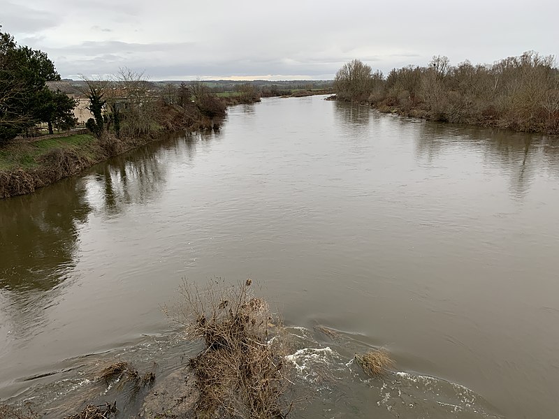 File:Loire vu depuis Pont Loire Marcigny 11.jpg