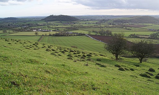 Looking towards Dundon Beacon from Collard Hill. - geograph.org.uk - 2267037