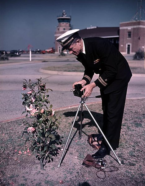 File:Lt. Joe Steinmetz photographing a camellia bush at NAS Pensacola (9410629694).jpg