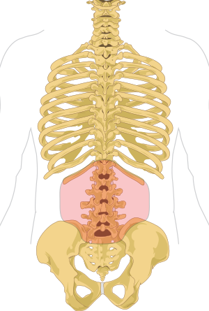 dureri severe de spate în regiunea lombară)