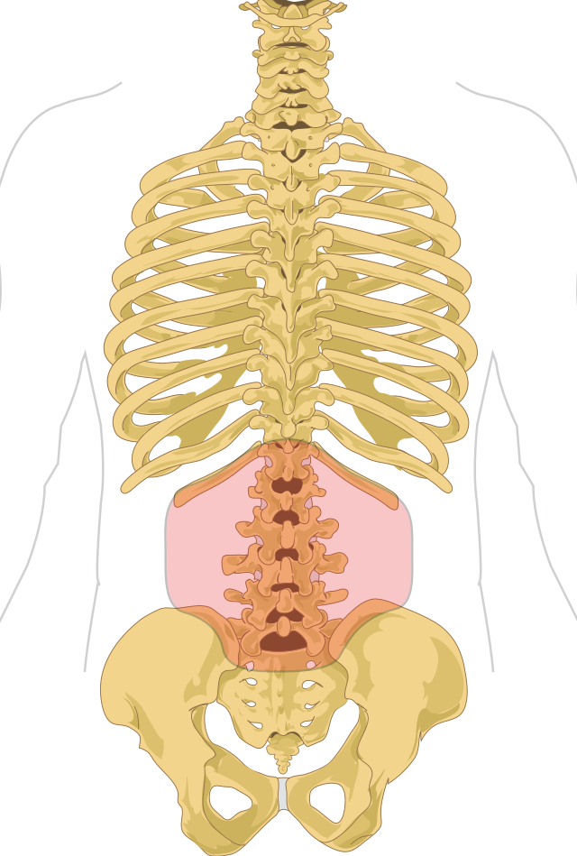 bol u donjem dijelu leđa u zglobu kuka)