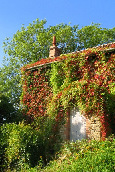 File:Madrigal Cottage - Lansdown Lane - geograph.org.uk - 550899.jpg