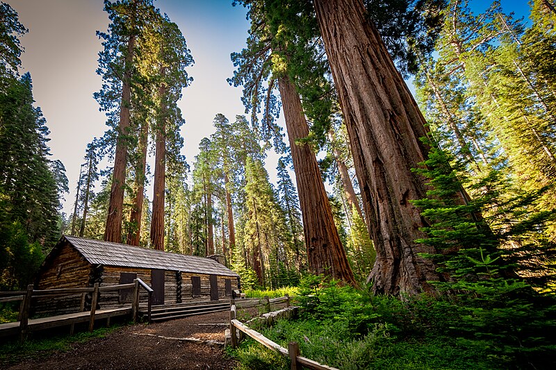 File:Mariposa Grove Cabin 2024.jpg