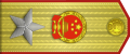 中国人民共和国元帅肩章（横）