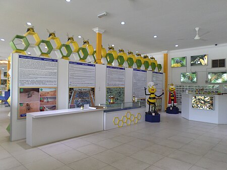 Fail:Melaka Bee Gallery - Exhibition Hall.jpg