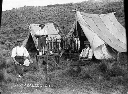 Tập_tin:Men_at_their_camp_site_displaying_a_catch_of_rabbits_and_fish,_1909_(4836053716).jpg