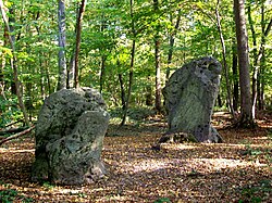 Menhirs des Indrolles