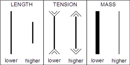 A string half the length (1/2), four times the tension (4), or one-quarter the mass per length (1/4) is an octave higher (2/1).
If the tension on a string is ten lbs., it must be increased to 40 lbs. for a pitch an octave higher. Mersenne's laws.png